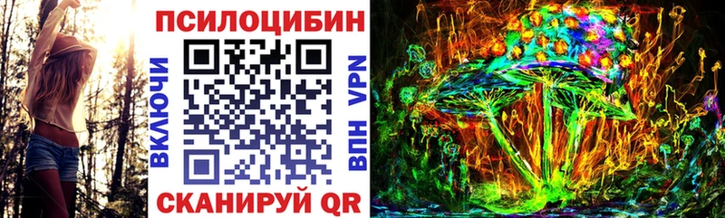 где найти   Красный Сулин  ОМГ ОМГ онион  Псилоцибиновые грибы GOLDEN TEACHER 