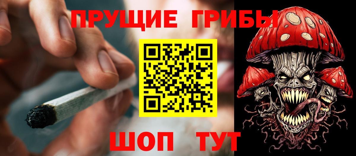 Галлюциногенные грибы Cubensis Красный Сулин