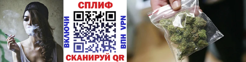 Канабис планчик Красный Сулин